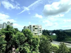 Yew Mei Green (D23), Condominium #523822231